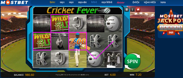 Cricket Fever slot, playing on a demo account